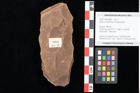 Foto (Objekt + Etikett) von Quercus palaeoilex Ettingshausen (NHMW-GEO-2024-0188-0888)